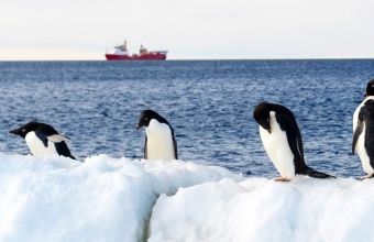 Κλιματική αλλαγή: Δραματική μείωση των πάγων στην Ανταρκτική