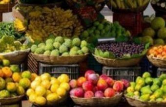 Ρεκόρ εισαγωγών σε φρούτα και λαχανικά φέτος: Τι εισάγουμε περισσότερο