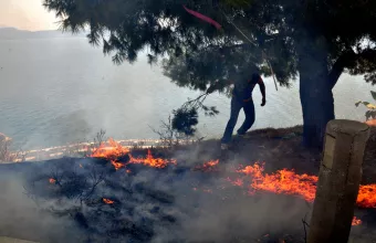 Περίπου 150 στρέμματα δάσους εκτιμάται ότι έκαψε η φωτιά στον Πάρνωνα