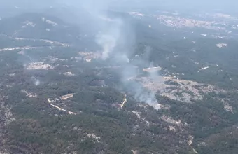 Φωτιά στη Δαδιά Έβρου: Οι προσπάθειες επικεντρώνονται στο παρθένος δάσος