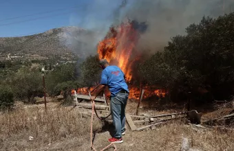 φωτια κερατεα 