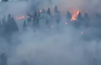 Καλύτερη η εικόνα στα μέτωπα της φωτιάς στην Χαλκιδική- Ισχυρές δυνάμεις συνεχίζουν την επιχείρηση κατάσβεσης