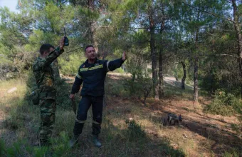 Φωτιά στη Δαδιά