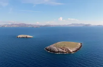 Ίμια