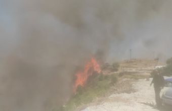Κεφαλονιά: Πάνω από 10.000 στρέμματα έγιναν στάχτη- Υπό πλήρη έλεγχο η πυρκαγιά