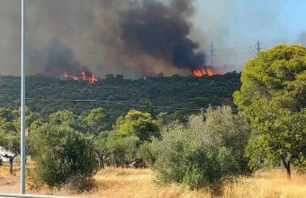 φωτιά στη Μάνδρα 