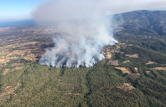 Φωτιά στα Μέγαρα: Η εικόνα της πυρκαγιάς από ψηλά