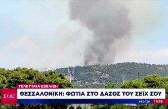 Θεσσαλονίκη: Κινητοποίηση επίγειων και εναέριων δυνάμεων για την φωτιά στο Σέιχ-Σου