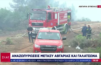 Εύβοια: Οι ξένοι ειδικοί- «πριονάδες» των φωτιών εν δράσει - Αυτή είναι η «τεχνοτροπία» τους