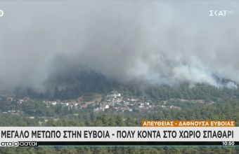 Πυρκαγιά στην Εύβοια- Περιφερειάρχης: Κρίσιμη η κατάσταση -Να μην περάσει η φωτιά το «Καντήλι»