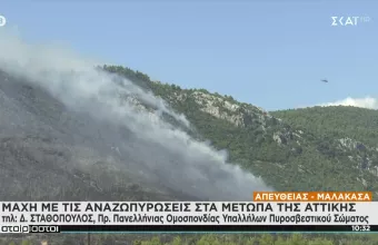 Πρόεδρος Πυροσβεστών-ΣΚΑΪ: Κάποιοι «παίζουν» - 50 φάρσες για πυρκαγιές στην Αττική