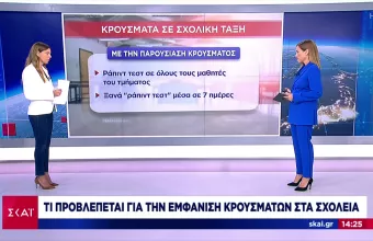 Ρεπορτάζ ΣΚΑΪ: Τι προβλέπεται για την εμφάνιση κρουσμάτων κορωνοϊού στα σχολεία