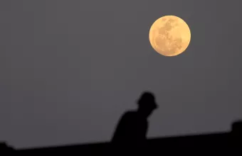 Αφρική