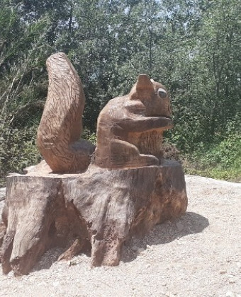 Nεκρά πλατάνια μετατρέπονται σε έργα τέχνης στην Ηγουμενίτσα