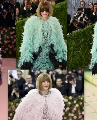 Anna Wintour Met Gala