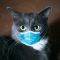 Στην Ταϊλάνδη κτηνίατρος μολύνθηκε με κορωνοϊό από μια γάτα 
