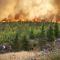 Καναδάς: Οι πυρκαγιές έκαψαν περισσότερα από 27 εκατομμύρια στρέμματα το 2023 