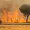 Η κλιματική αλλαγή θα αυξήσει τις δασικές πυρκαγιές 