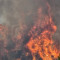 Ηλεία: Φωτιά σε αγροτική έκταση στην περιοχή Σπιάντζα