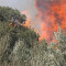 Δύο φωτιές τώρα σε Πρέβεζα και Τρίπολη