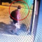 Ταυτοποιήθηκε ο άντρας που πάτησε και σκότωσε το γατάκι στη Θεσσαλονίκη