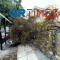 Ισχυροί άνεμοι στην Θεσσαλονίκη: Δέντρο έπεσε δίπλα από στάση λεωφορείου