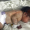 Φονικοί σεισμοί- Συρία: Σε θερμοκοιτίδα το μωρό που γεννήθηκε σε ερείπια