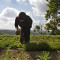 Βουλγαρία - ΒΤΑ: Η Σόφια επιμένει στην αύξηση του ποσού στήριξης από το γεωργικό αποθεματικό της ΕΕ