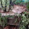 Ισχυρή βροχόπτωση στη Νεμέα – Υπερχείλισε ρέμα στα Αηδόνια