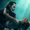 «Joker: Folie à Deux»
