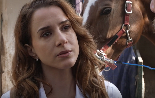 «Άγρια Γη»