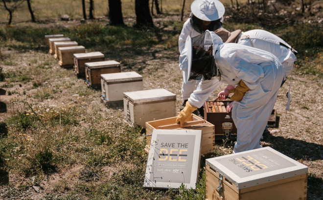 TÜV AUSTRIA Hellas και Ξενοδοχειακός Όμιλος SANI/ IKOS:  Μεγάλη πρωτοβουλία αναδοχής μελισσιών για την ανασυγκρότηση της βιοποικιλότητας της Πάρνηθας μετά τις πυρκαγιές