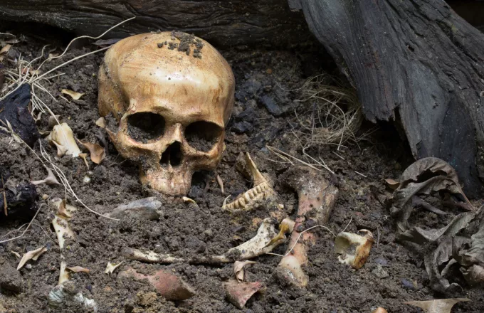 Σέρρες: Εντοπίστηκε ανθρώπινος σκελετός σε δάσος 