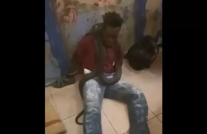 Βασανιστική ανάκριση με φίδι τυλιγμένο στο λαιμό κρατουμένου (vd)