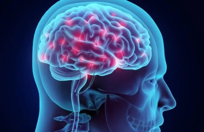 Ελληνίδα επιστήμων βρήκε το νευρωνικό αποτύπωμα της συνείδησης 