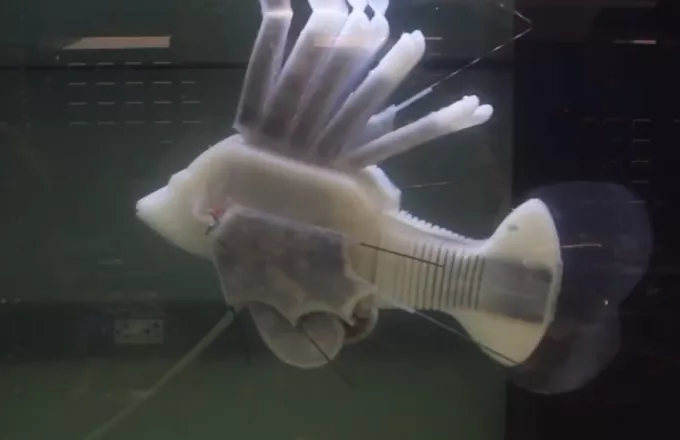 Ιts alive! Το πρώτο ρομποτικό ψάρι που κινείται με συνθετικό αίμα (video)