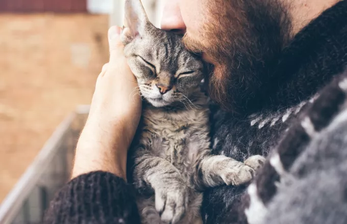 Οι γάτες δένονται συναισθηματικά με τους ανθρώπους αλλά δεν το δείχνουν πάντα