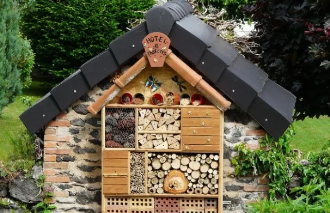 «Ξενοδοχεία μελισσών» από προσκοπίνες