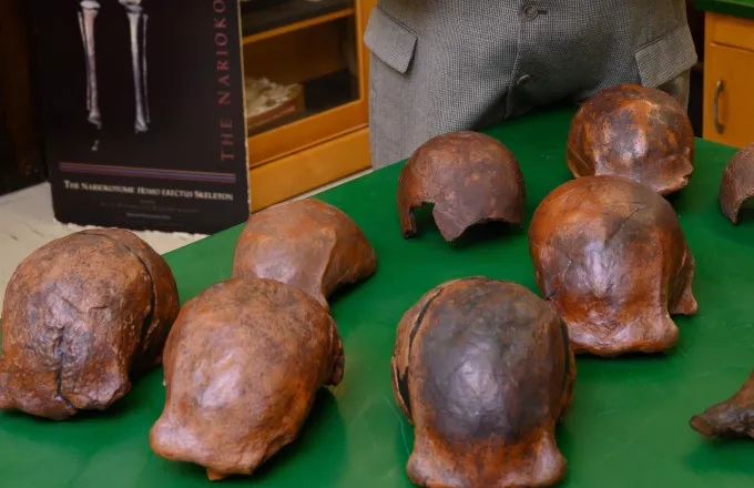 Στην Ινδονησία τα τελευταία στον κόσμο απολιθώματα του «Homo erectus»