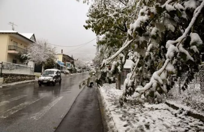 Απεγκλωβισμοί πολιτών από τα οχήματά τους και διακοπή κυκλοφορίας λόγω χιονόπτωσης