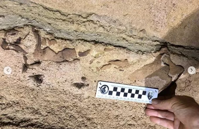 ΗΠΑ: Ανακάλυψαν κεφάλι καρχαρία 330 εκατ. ετών σε σπηλιά (pics)