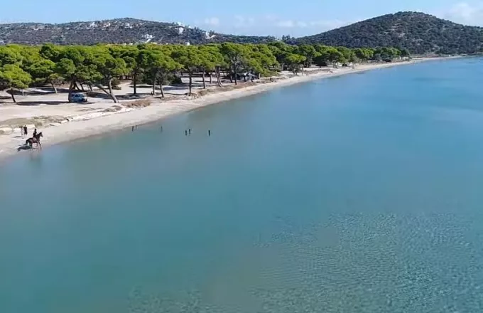 ΒΙΝΤΕΟ: Εξωτικές εικόνες από τη μεγαλύτερη παραλία της Αττικής, 50 λεπτά από την Αθήνα