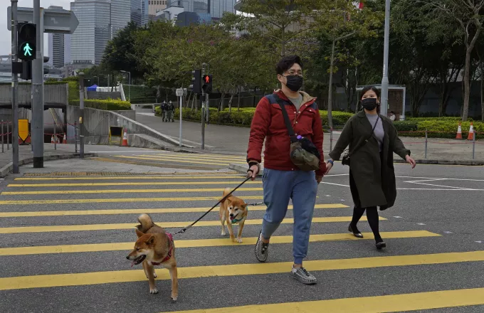 Ιστορική απόφαση ελέω κορωνοϊού: Από φαγώσιμα, κατοικίδια οι σκύλοι στην Κίνα