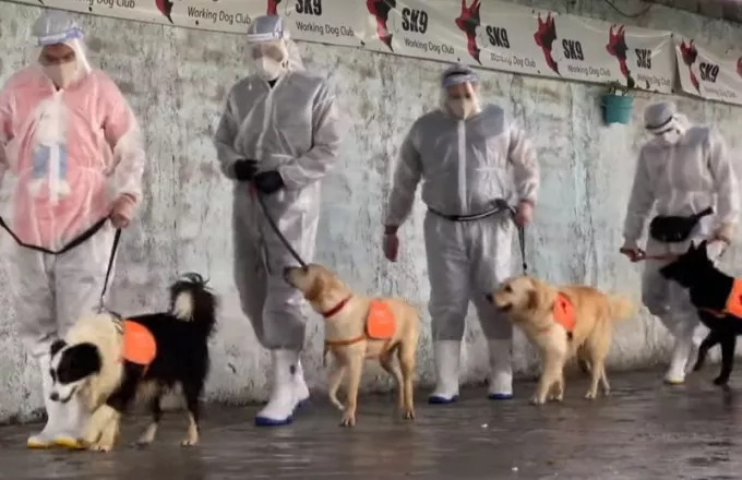 Τεχεράνη: Εκπαιδεύουν σκύλους να ανιχνεύουν τον κορωνοϊό (vid)