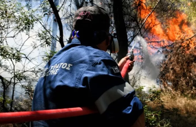 Φωτιά- Κεχριές: Ολονύχτια μάχη με τις φλόγες- Σε έκτακτη ανάγκη η Κορινθία