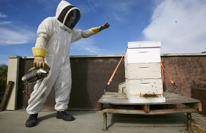 «Περνά- περνά η μέλισσα»: Γιατί σερβιτόροι στο Λονδίνο εξυπηρετούν φορώντας στολή μελισσοκόμων