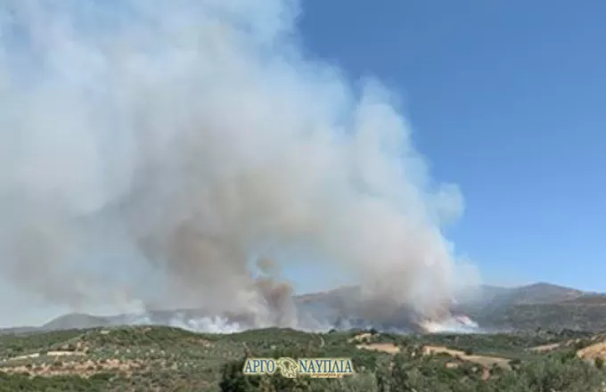 Πυρκαγιά στο Κολιάκι Επιδαύρου- Eνισχύθηκαν οι πυροσβεστικές δυνάμεις