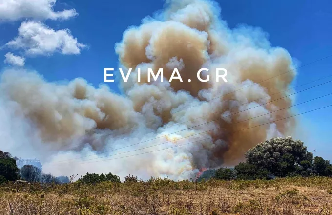 Φωτιά στην Εύβοια - Εκκενώθηκε προληπτικά οικισμός (Βίντεο)