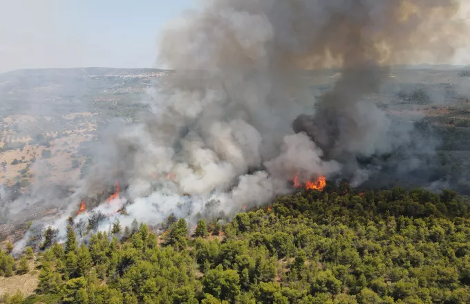 Λαμία: Μεγάλη πυρκαγιά στο Θεολόγο της Φθιώτιδας (pics+vid)