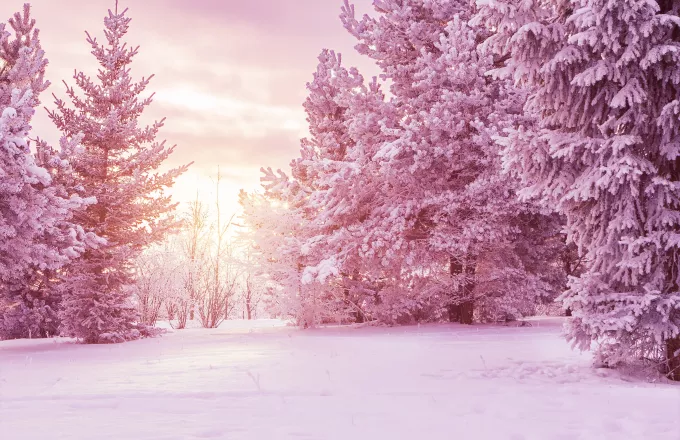 Oι Άλπεις άλλαξαν χρώμα: Το παράξενο φαινόμενο «ροζ χιόνι» προβληματίζει τους ειδικούς